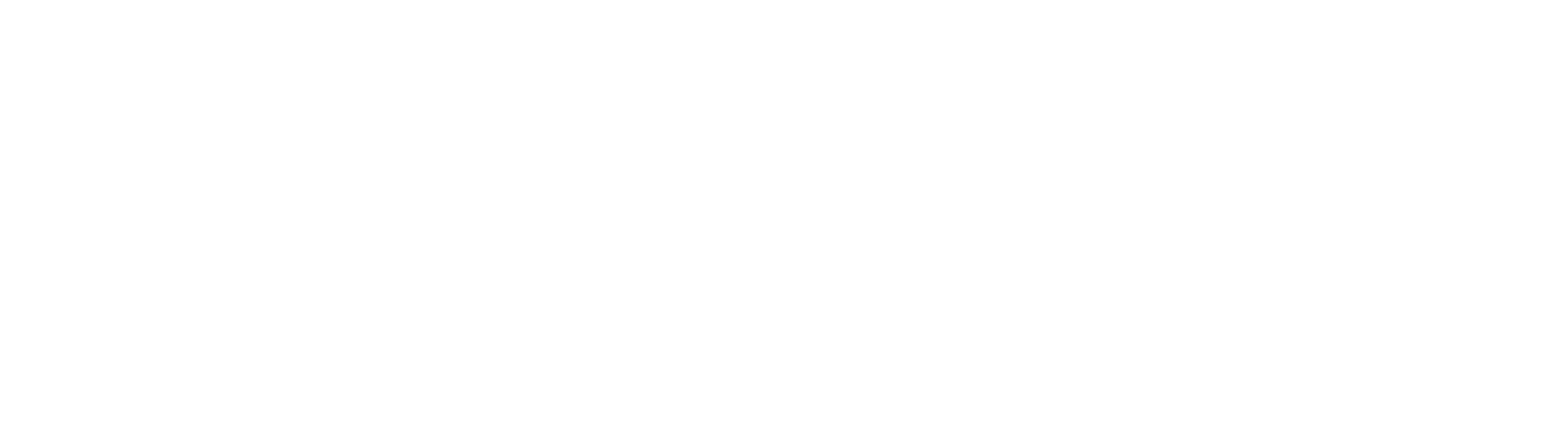 Fastlane Autocare Logo