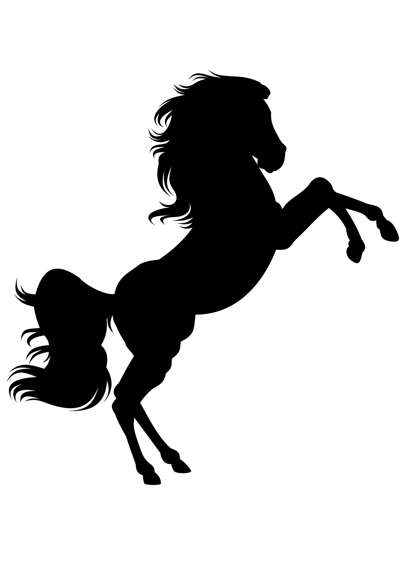 Ifor Williams Horse Box Repairs Merseyside | Horse Box Servicing & Repairs Merseyside 