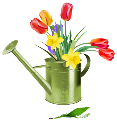 Spring Car Care : Online Automotive Shop Spring Car Care : Online Automotive Shop